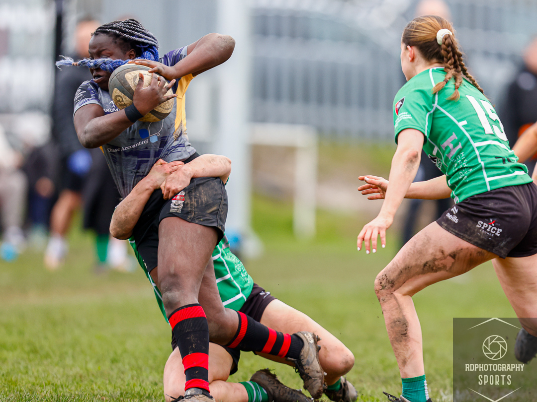 Robert Dickason sports photographer tweet media