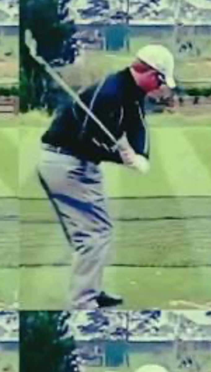 Dale Wolfe tweet media