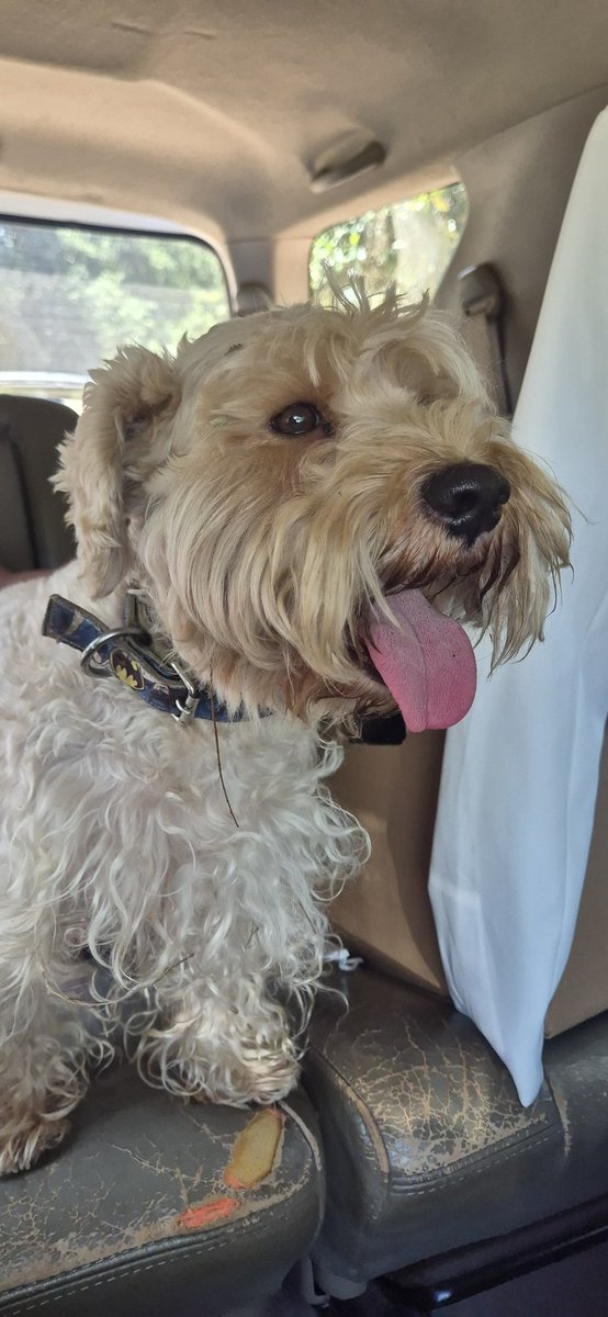 Marcando Huellas tweet media