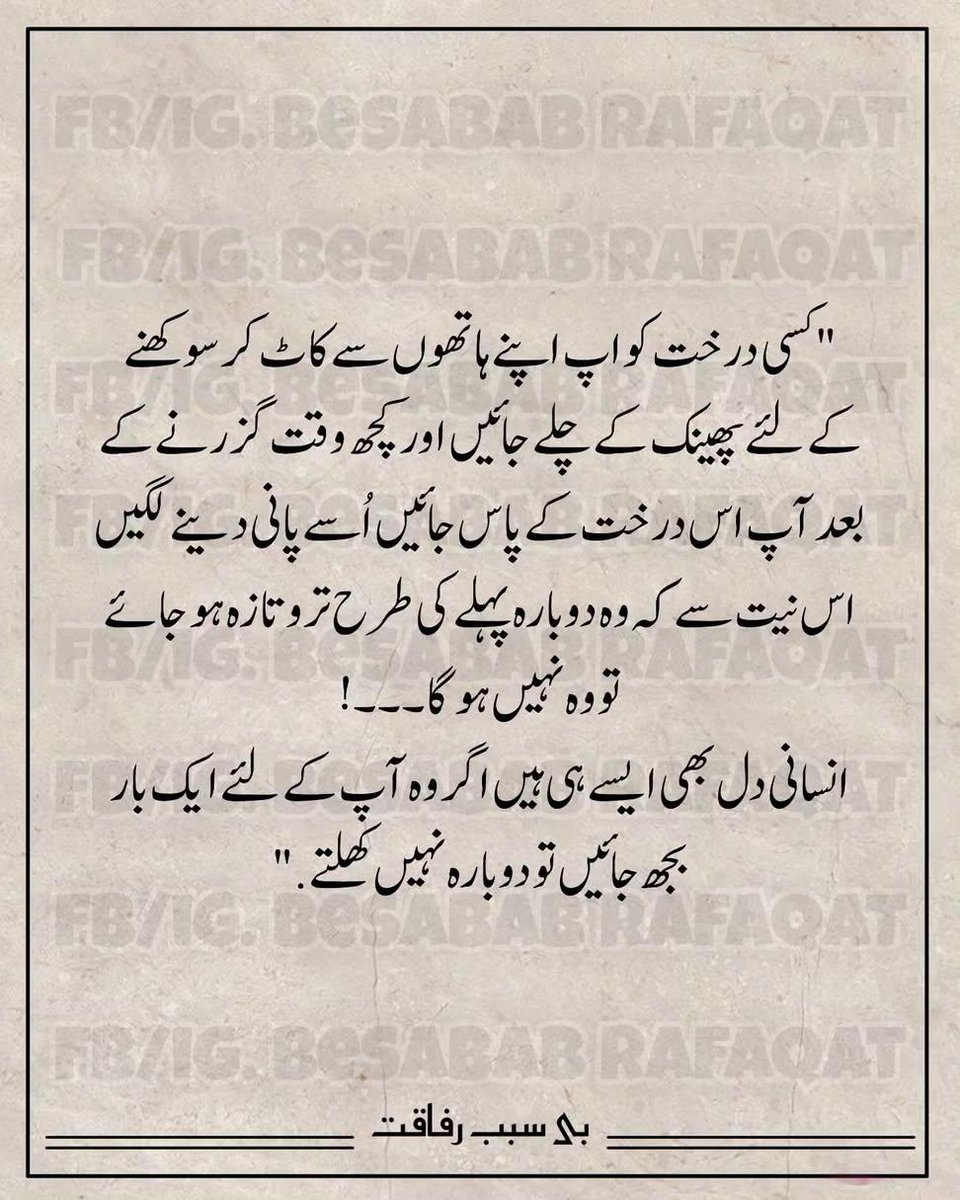 mismailsiyal's tweet photo. https://t.co/zOJgKxxMqe