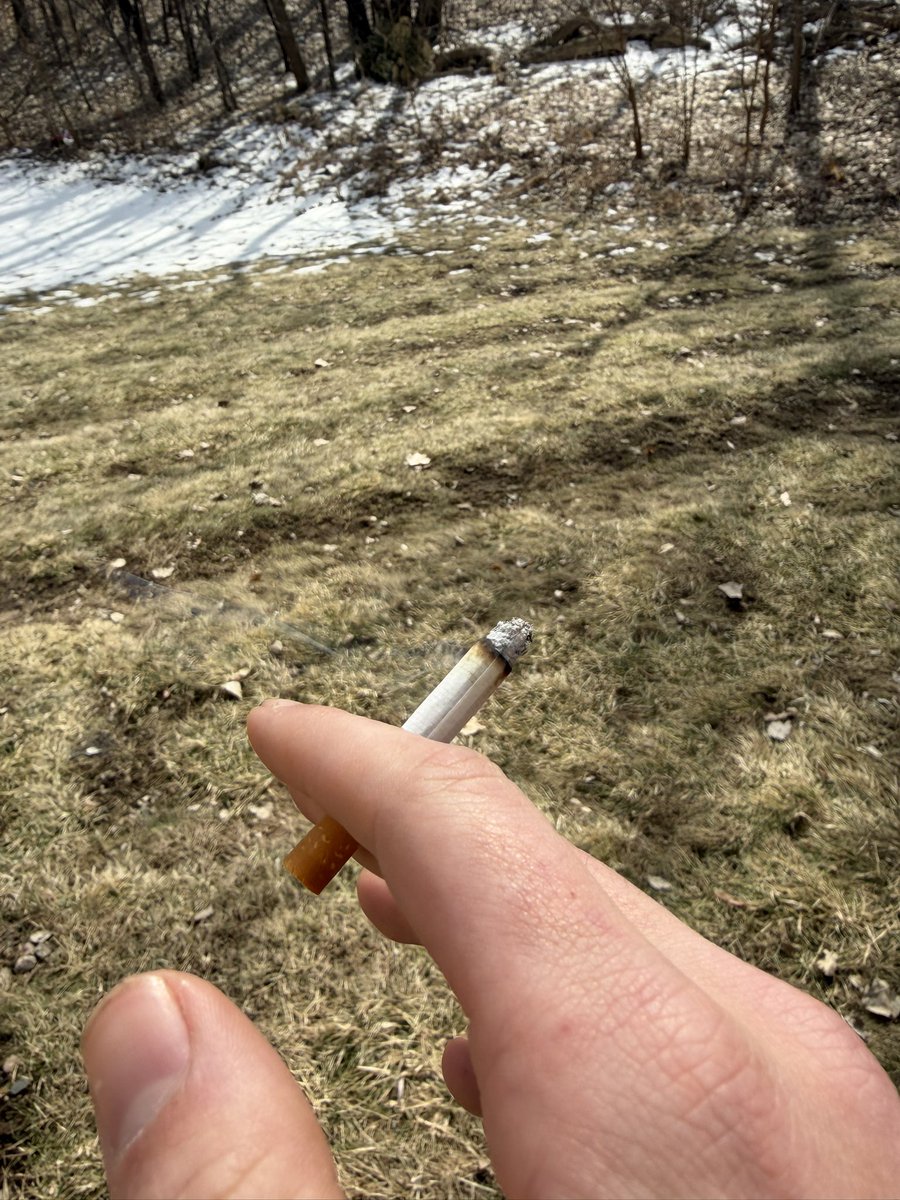 MinionThomist tweet media