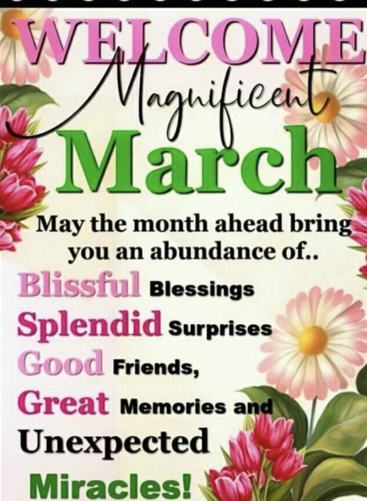 Mrs. Fiona Sims. Ed.S, M.Ed, B.Ed, (EdD Student). tweet media