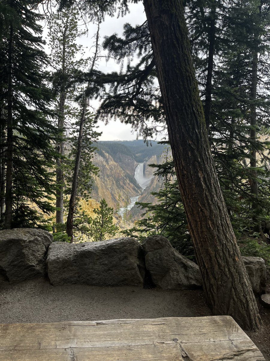 Sam Quint tweet media