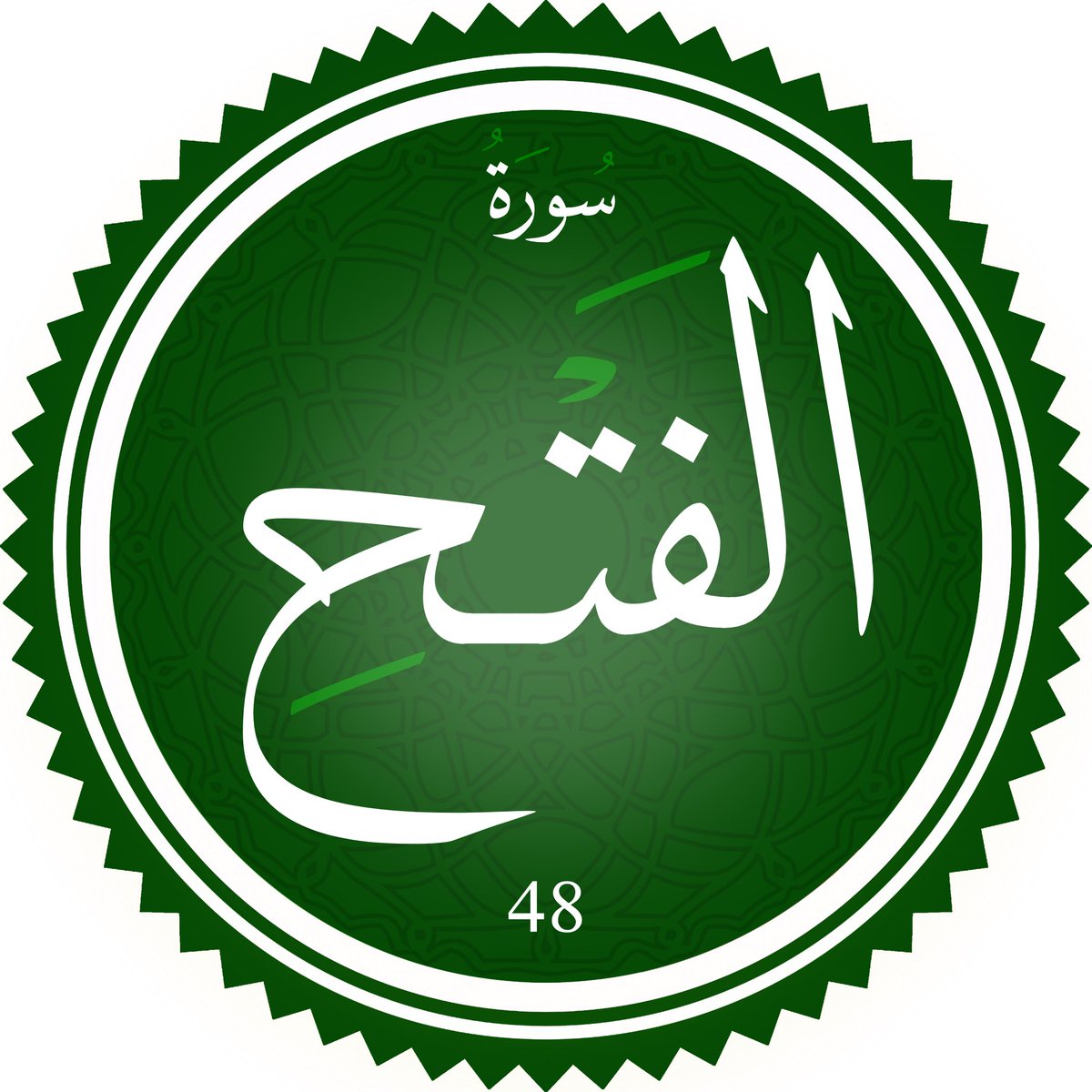 سید کمیل tweet media