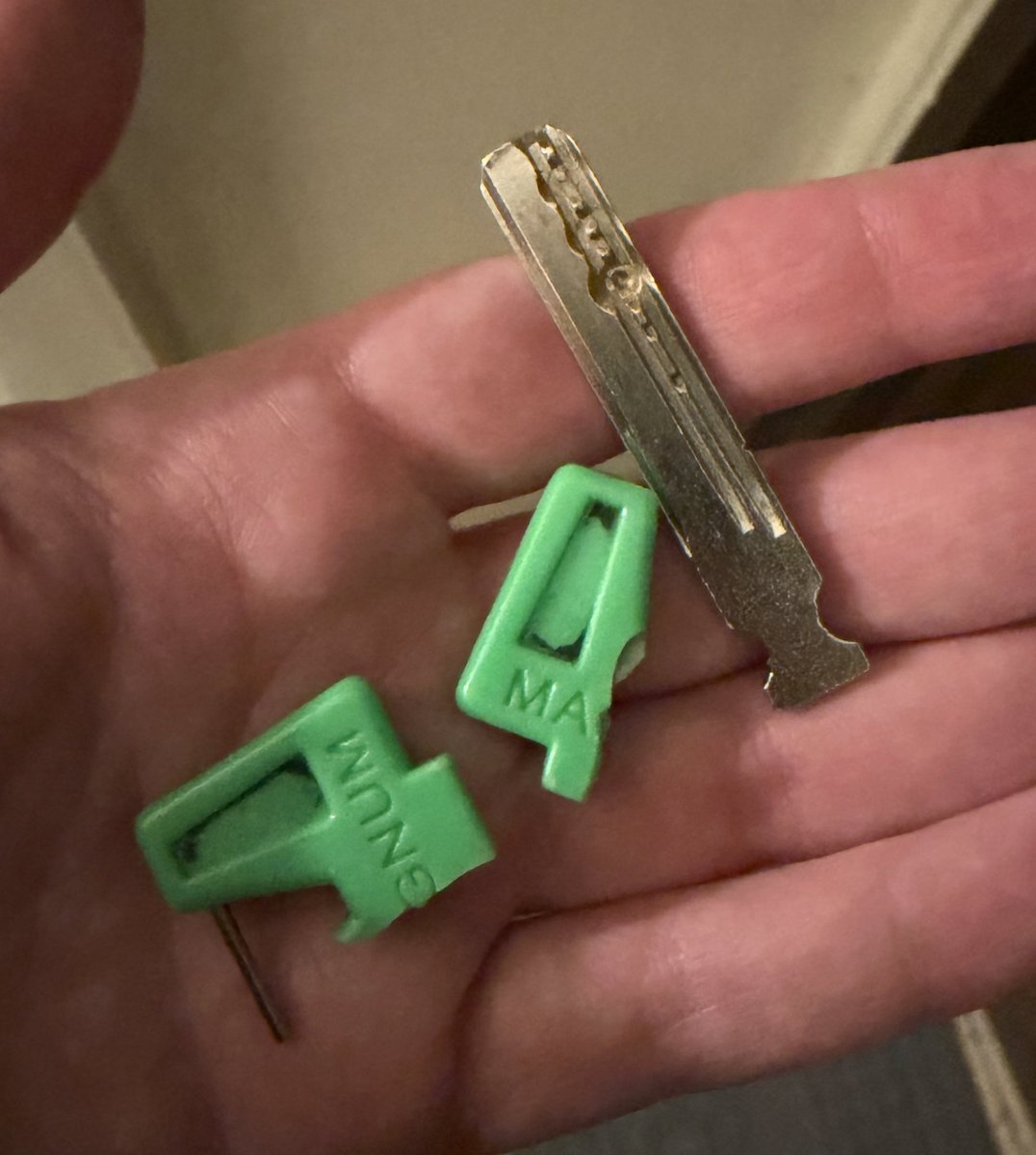 The Daf Is tweet media