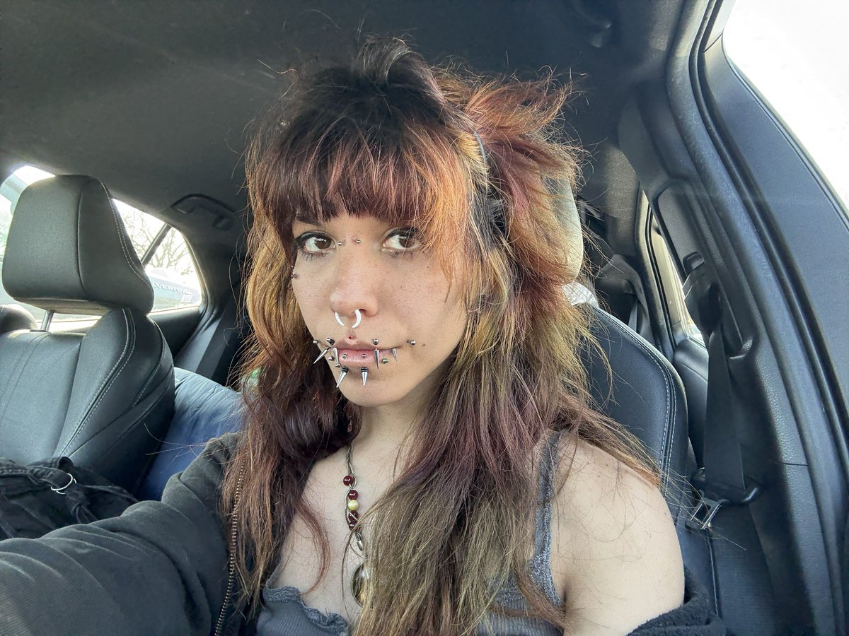 SnakeOrg tweet media