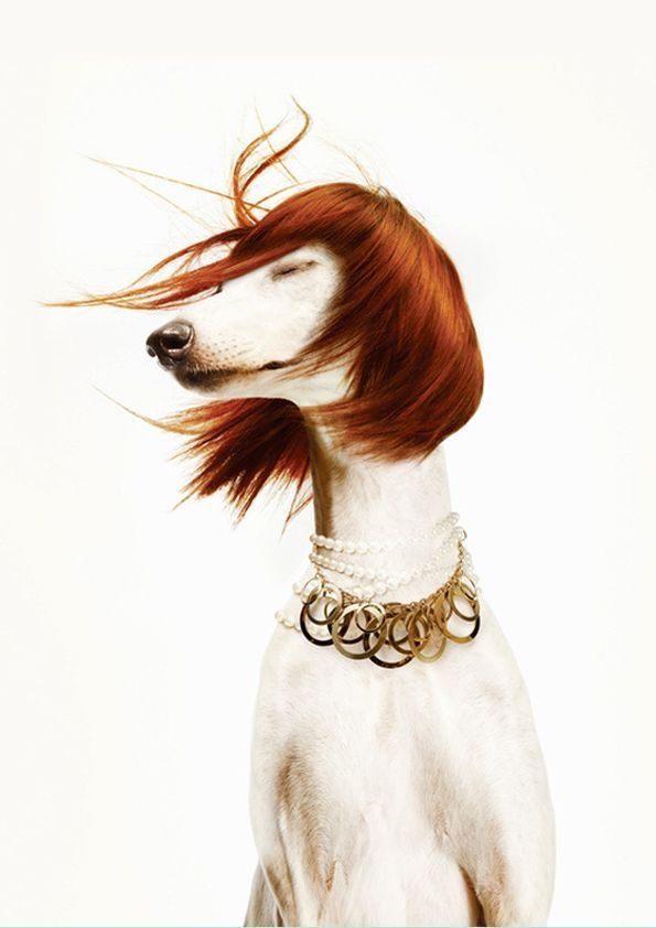 Clint Kritzer tweet media