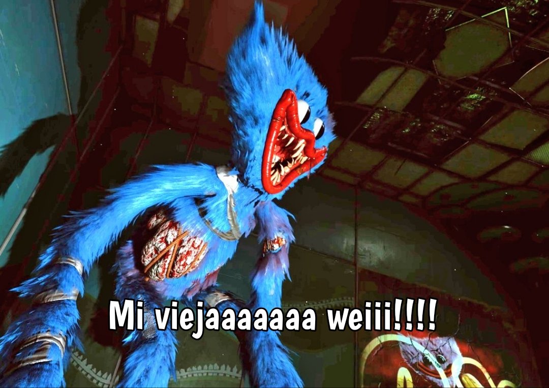 Nekito-kokoro tweet media