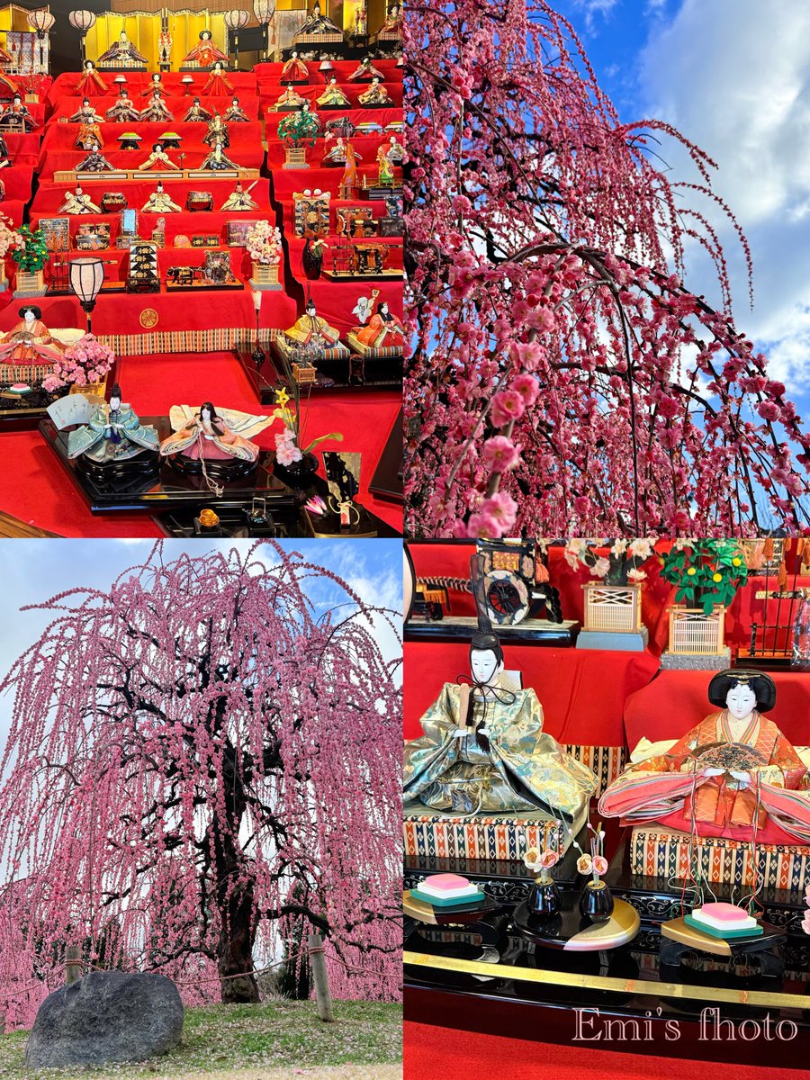 青い鳥 ✨幸せを運ぶ✨ (@aoitori0510) / Posts / X