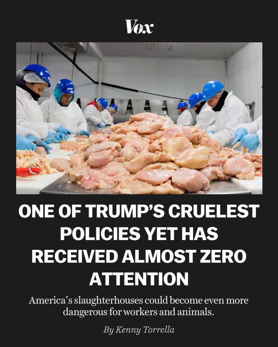 eliahaddow's tweet photo. Can’t imagine how much more dangerous it could get for animals. https://t.co/QObjZK7h49
