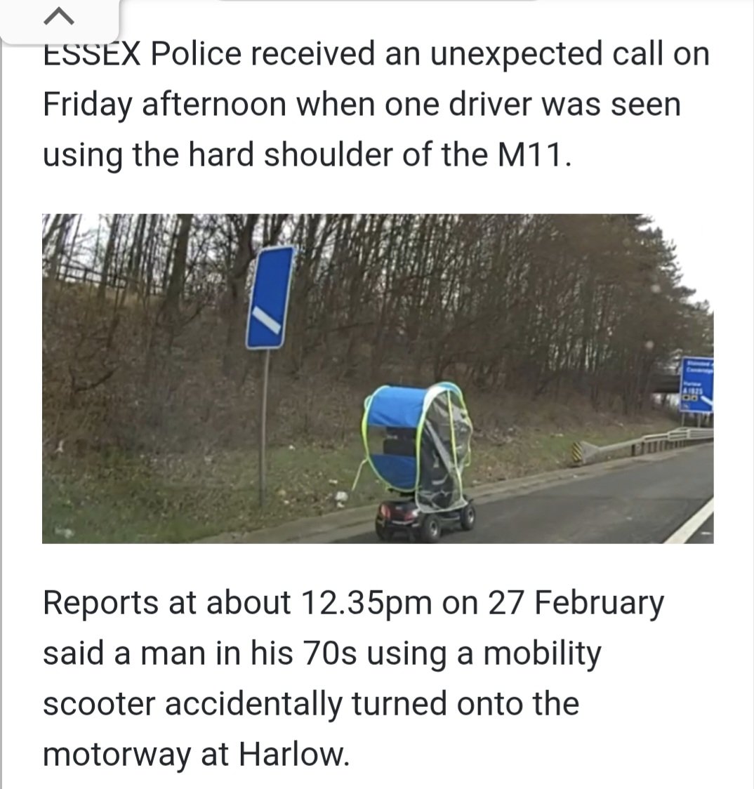 Cheeseontoast 🧀🍞©️ tweet media