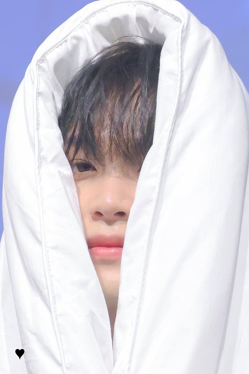 the cutest burrito in the world