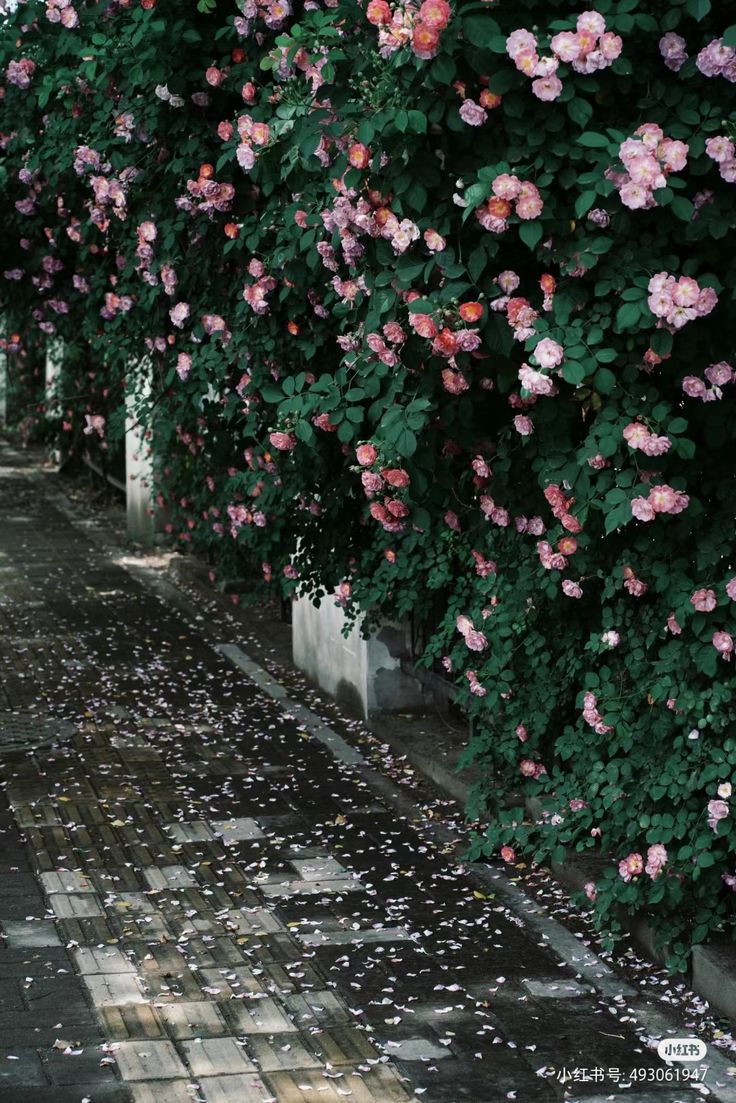 ᅠ ᅠ (@greendreaams) on Twitter photo 