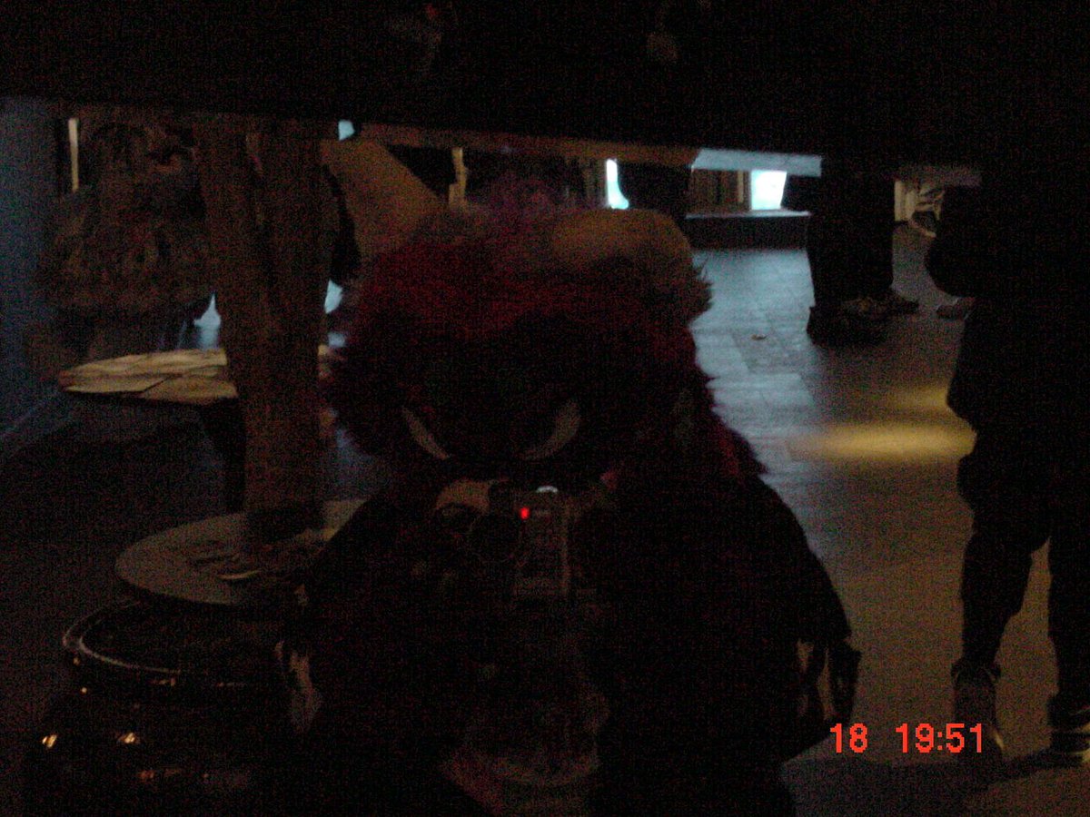 Misaki 🐾ΘΔ 🏳️‍⚧️ tweet media