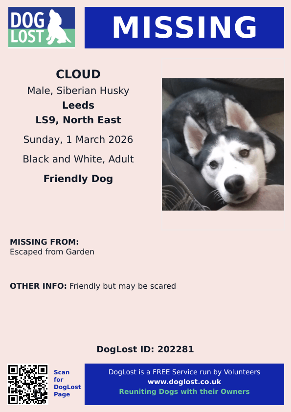 MissingPetsGB's tweet image. 🐕 #stolendoghour CLOUD escaped his garden earlier today 1 March 2026 in #Leeds #LS9
Cloud is a Siberian husky adult who is not chipped. Please contact asap if seen.