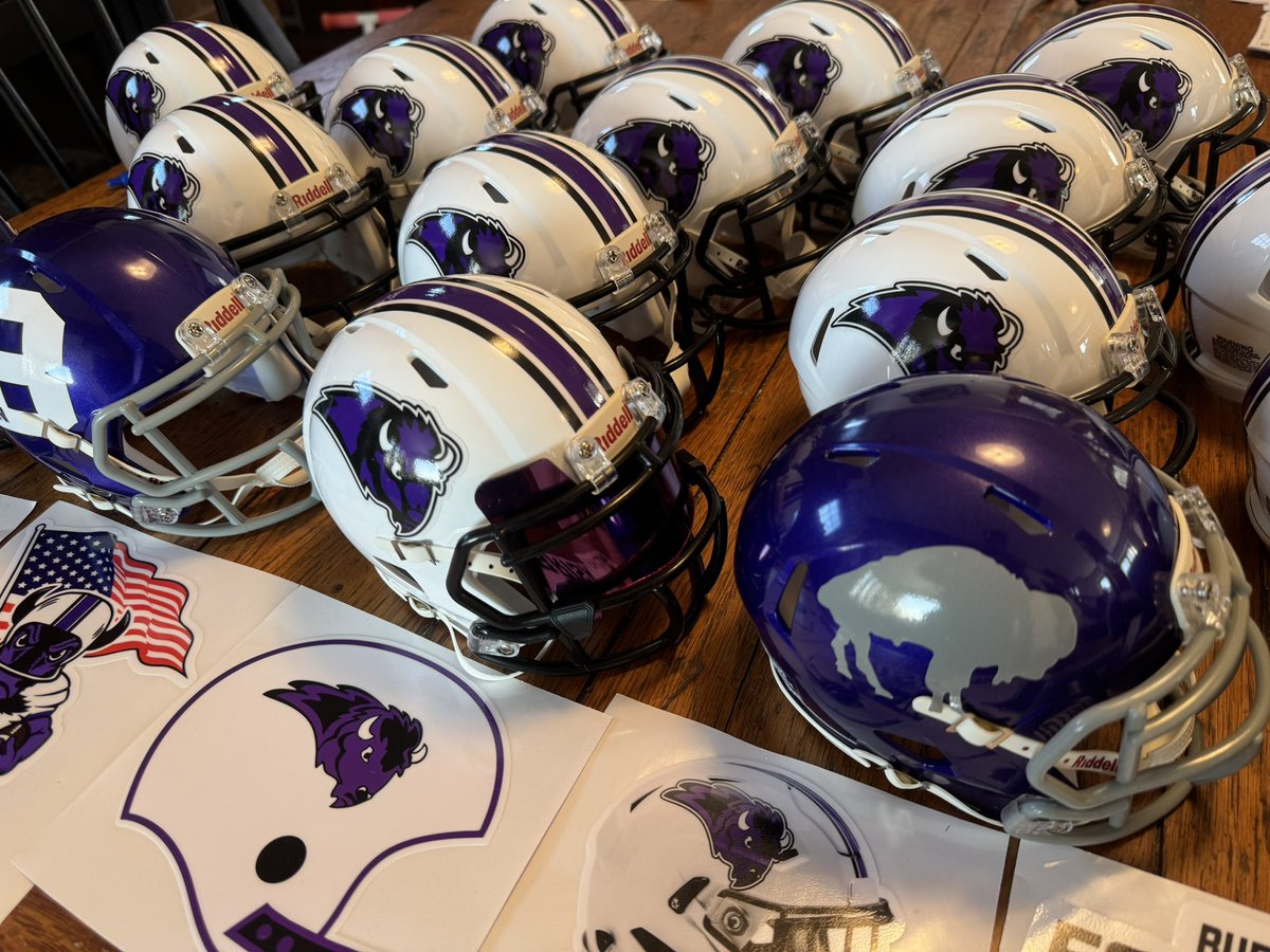 Matthewson’s Mini Helmets tweet media