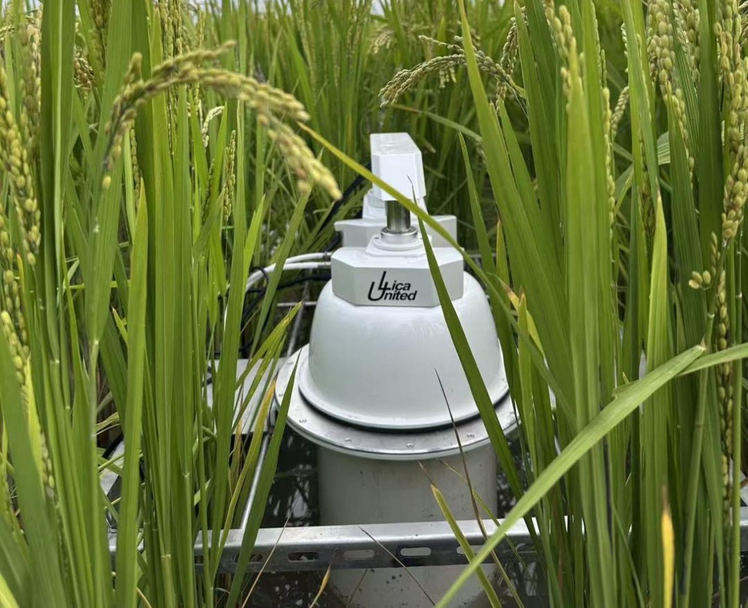 LICA_United's tweet photo. The SF-9000 Multi-channel Automatic Soil Carbon Flux Measurement System at the Jilin Da'an Station of the Northeast Institute of Geography and Agroecology, Chinese Academy of Sciences. https://t.co/ZUbxB93X6R