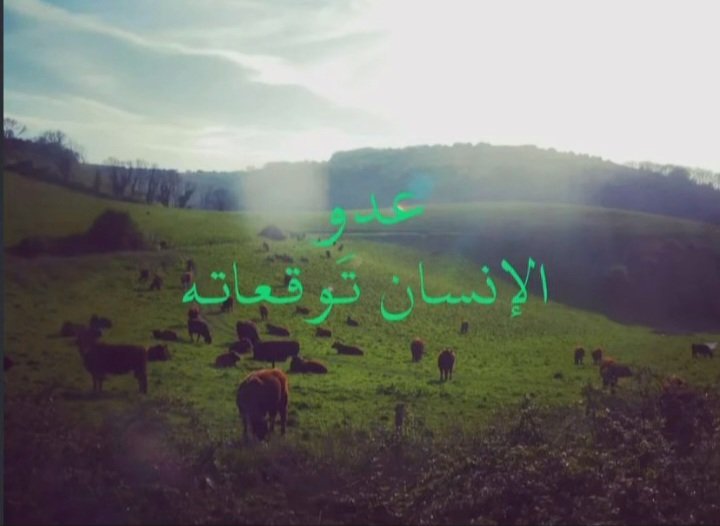 ْ (@_vvgvv_) on Twitter photo 