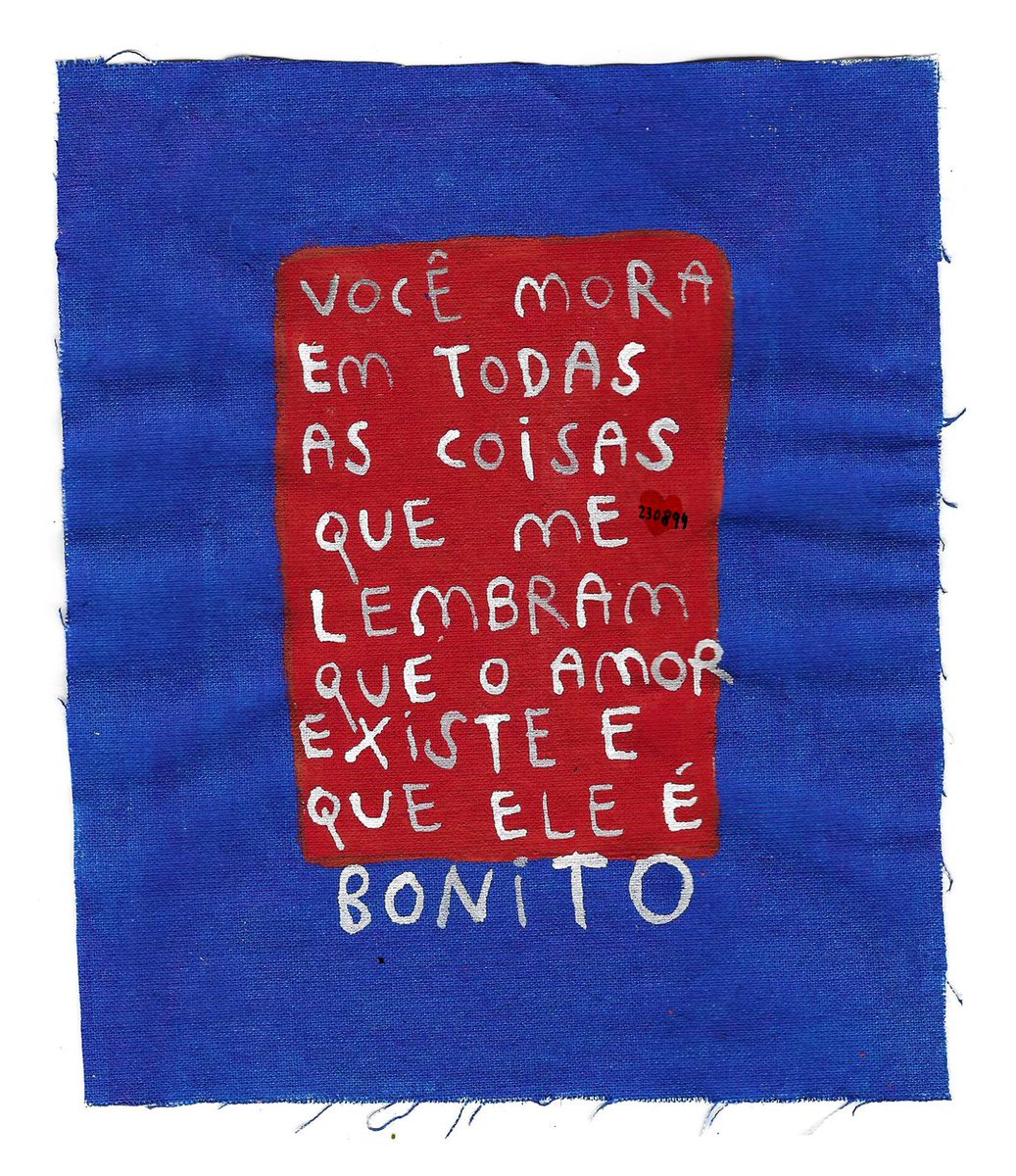 carolzão tweet media
