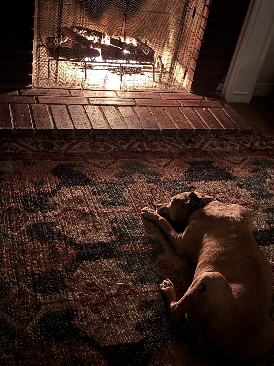 Robbie Daymond tweet media