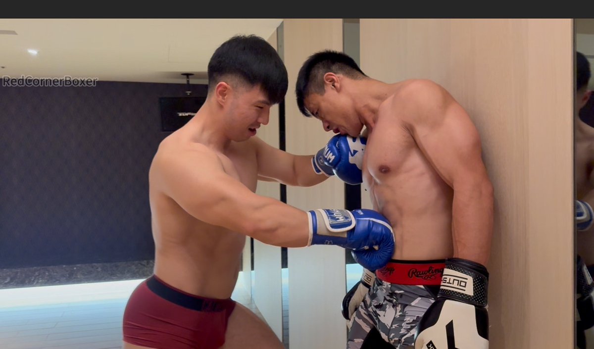 Red Corner Boxer tweet media