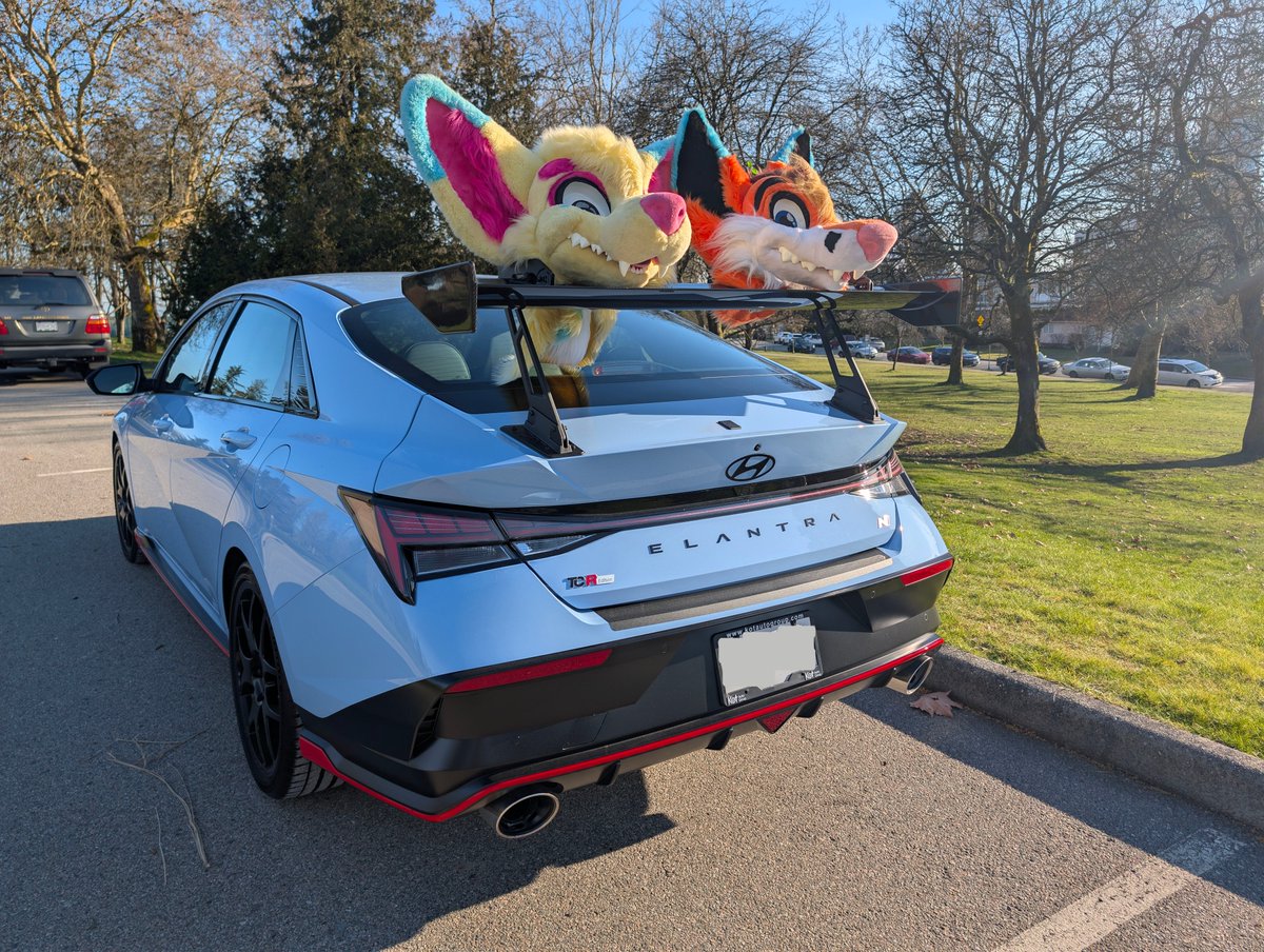 🍁🏂 EARS COUNT 😷🇨🇦 tweet media