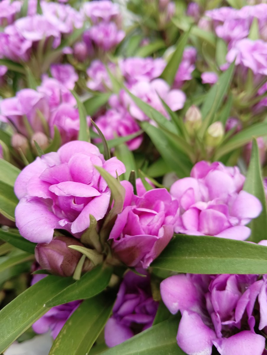 おはようございます