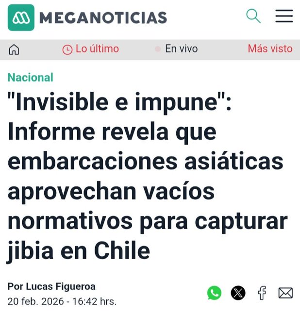El Comunacho, Daniel Nuñez creó la"ley Jibia" dejando a más de 3000 personas, en su mayoría 
mujeres, sin trabajo por cierre de empresas

China está depredando la especie dejándola al borde de la extinción.

China le paga al <a href="/PCdeChile/">Partido Comunista de Chile</a>  para promover leyes a su favor?