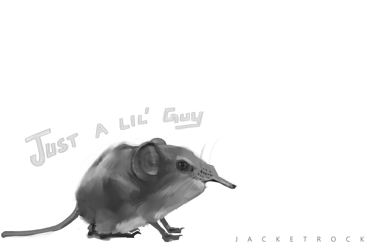 // 🎨 JacketRock-Art 🎨 // tweet media