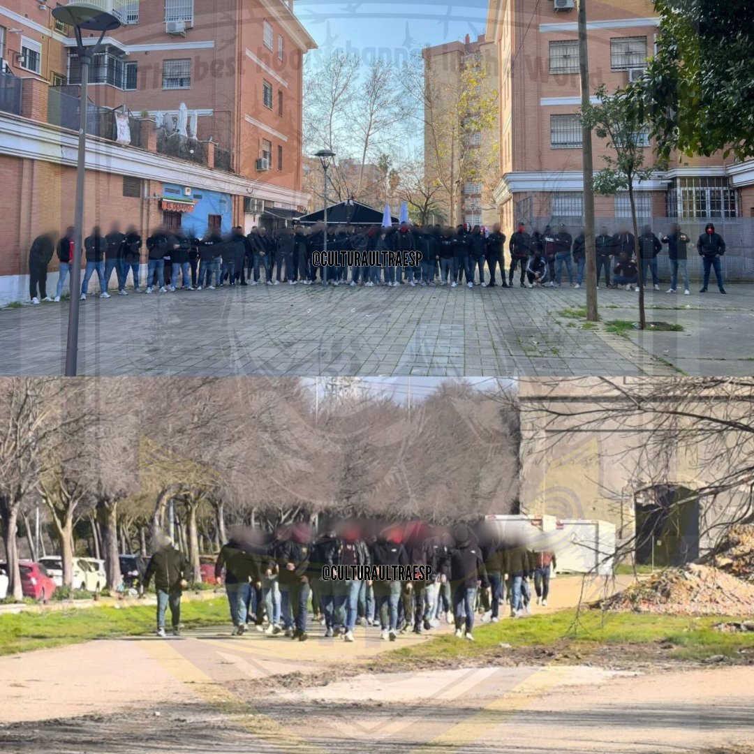 CulturaUltraESP's tweet photo. BIRIS NORTE LA CARTUJA ON TOUR
Real Betis - SEVILLA 01.03.26
#birisnorte #biris #sevillafc @birisoficial https://t.co/KtmblOb15B