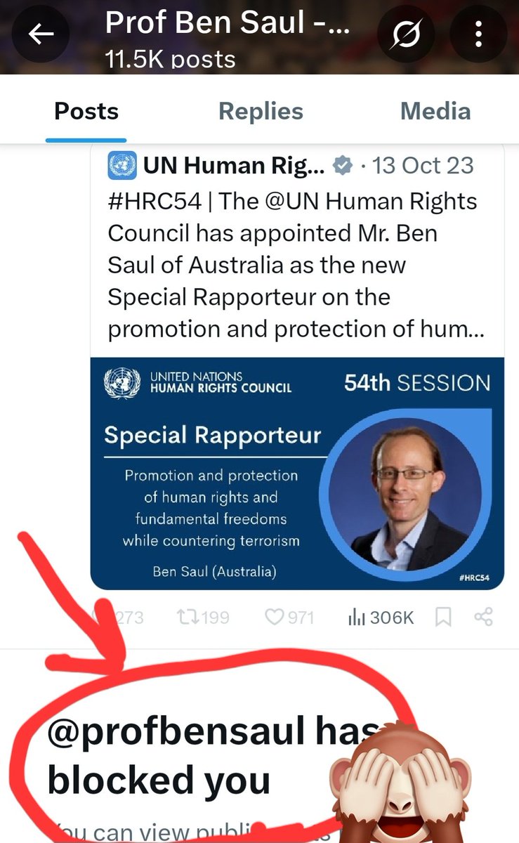 I'm going to wave my badge of honour in everybody's face again.
Professor B.S, the UN special rapporteur, has blocked me. Mr "sense of security" did it after I tagged him once wrt his 12-page submission to the 🇦🇺 parliament in which he tried to save Hamas from terror listing.