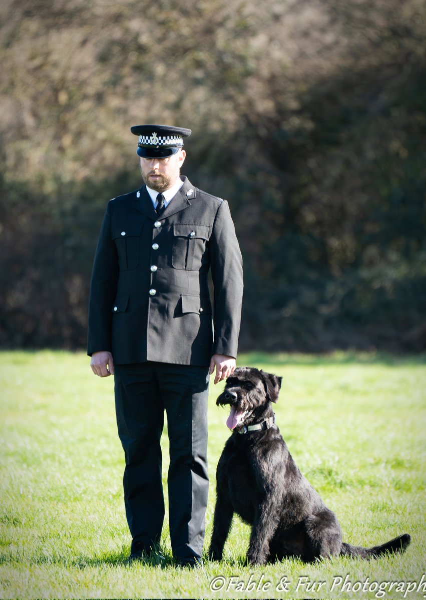 Lordstones Kennel tweet media