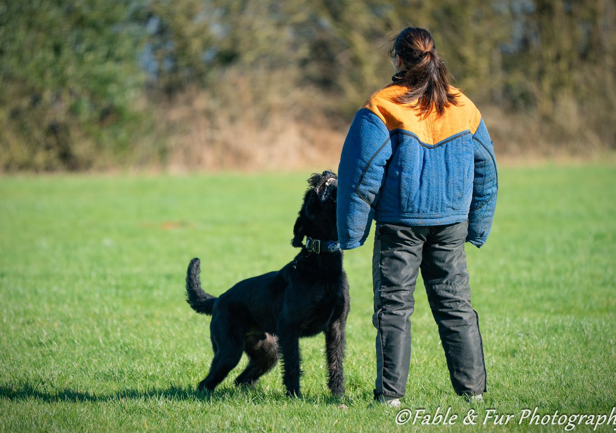 Lordstones Kennel tweet media