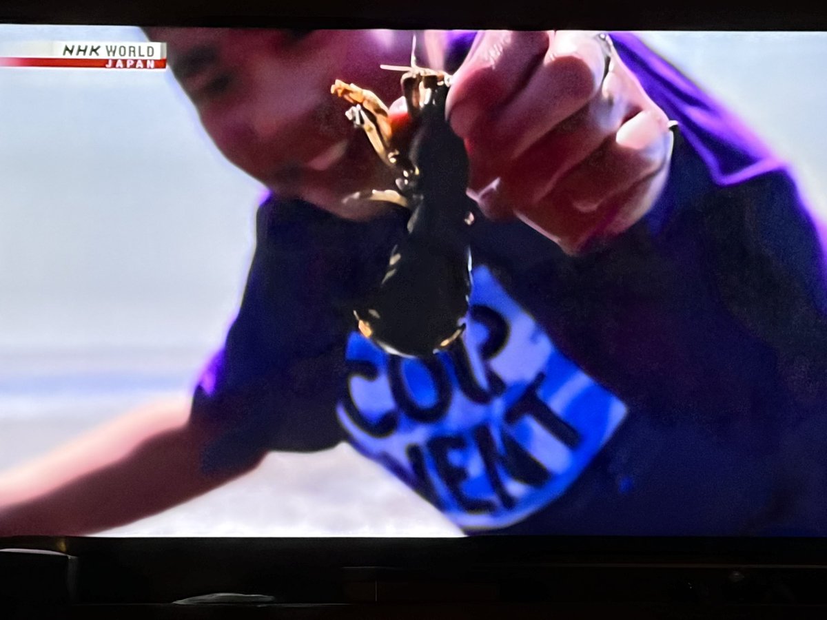 ドバイのホテルで各国の英語国際放送見てるんだけどさ、
BBC(英国)→イラン情勢
CNN(米国)→イラン情勢
CGTN(中国)→イラン情勢
フランス24(仏)→イラン情勢
EUROnews(EU)→イラン情勢
アルジャジーラ→イラン情勢
Bloomberg(米国)→イラン情勢
NHK World(日本)→有明海のエビ取れたよー！

なんで…