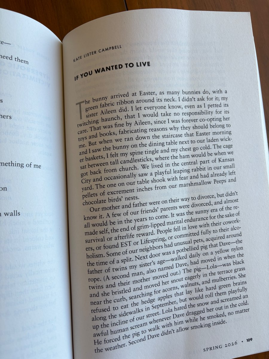 New story out in <a href="/Colorado_Review/">Colorado Review</a> this month, just received my copies! A semi-autobiographical, "dark Easter" story if you're feeling seasonal. Looking foward to reading all the wonderful work in this CR issue.