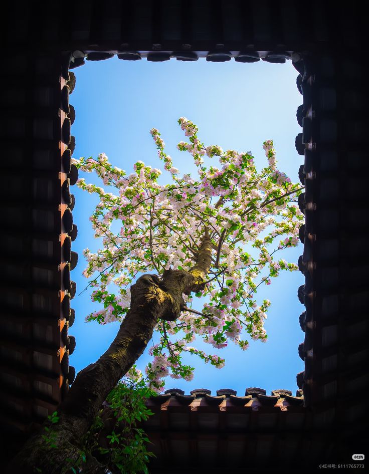 ᅠ ᅠ (@greendreaams) on Twitter photo 