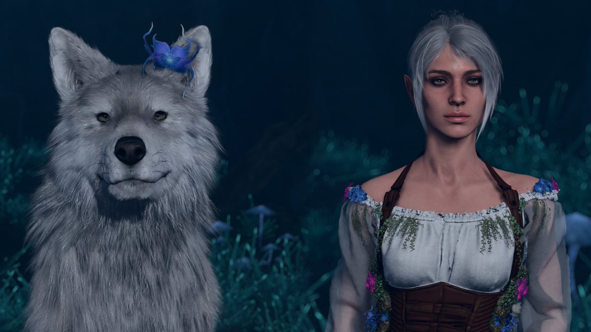 Kobold Juno ❄️ tweet media