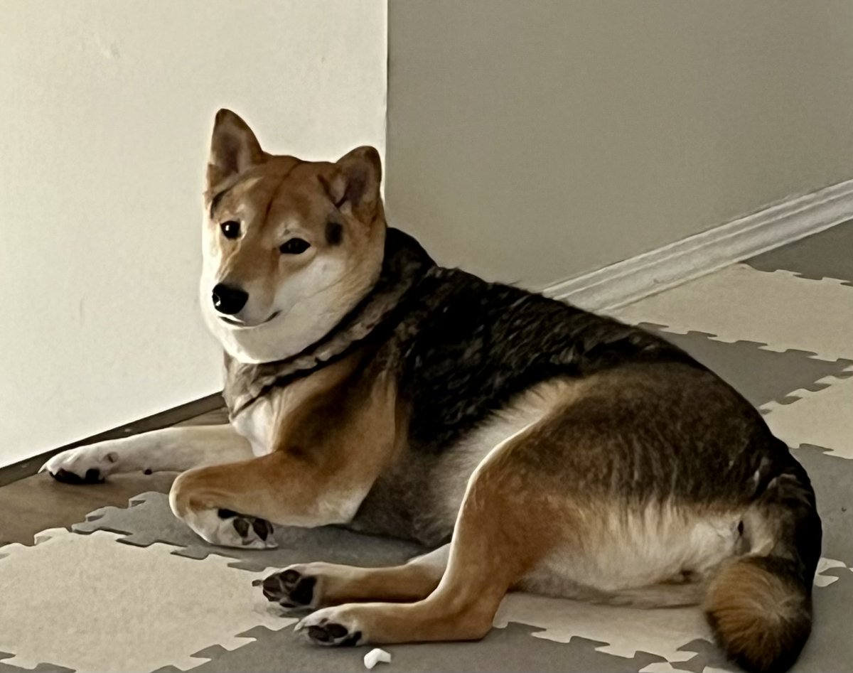 yuko 🍁 tweet media