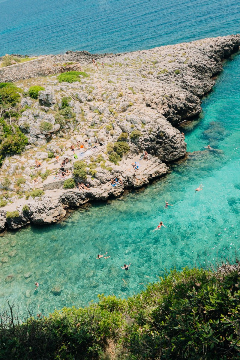 Simon Ribadeneira tweet media