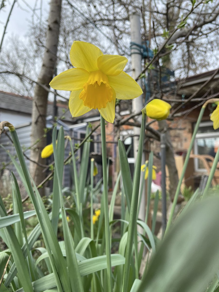 osbornecnweb's tweet photo. #HappyStDavidsDay to all of our lovely families and friends 🌼🏴 @EstynHMI @EarlyWales @NewportFIS @FroebelTrust @NewportCouncil @care_wales https://t.co/HguxKcTVOe