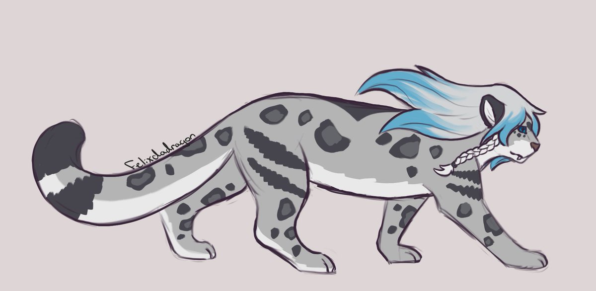 FelixDaDragon tweet media