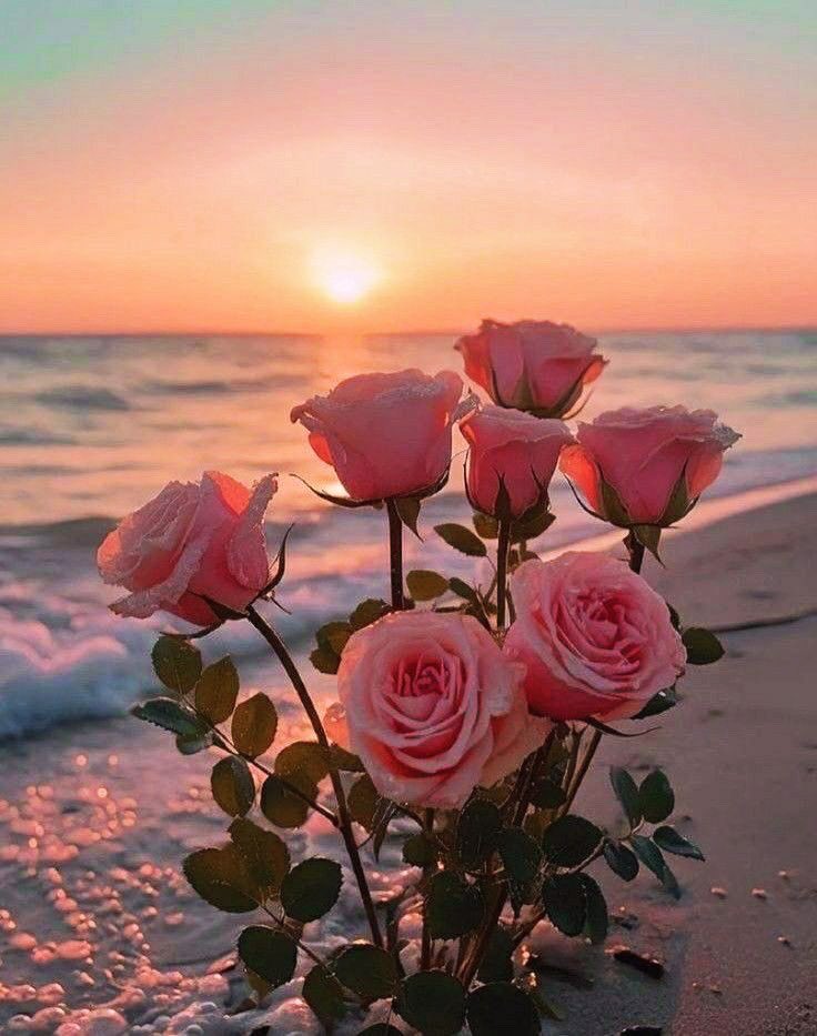 VixenLLC's tweet image. 🪽 
Today marks 11 years since 
my mom crossed over 🙏🏼 
A week before my 26th bday. 3-1-15 💗 
I love you mom! 
Forever my beautiful angel ♾️ 

#mom #eternal #iloveyou #iloveyoumom