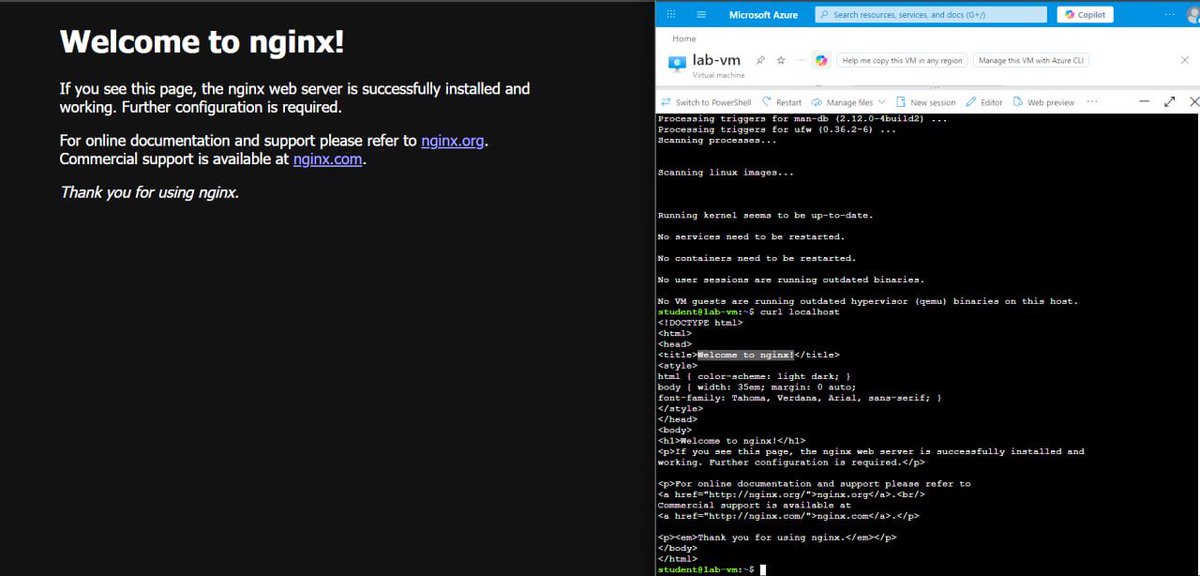 Bushra Alotaibi tweet media