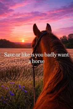 horse (@horseimage) on Twitter photo 