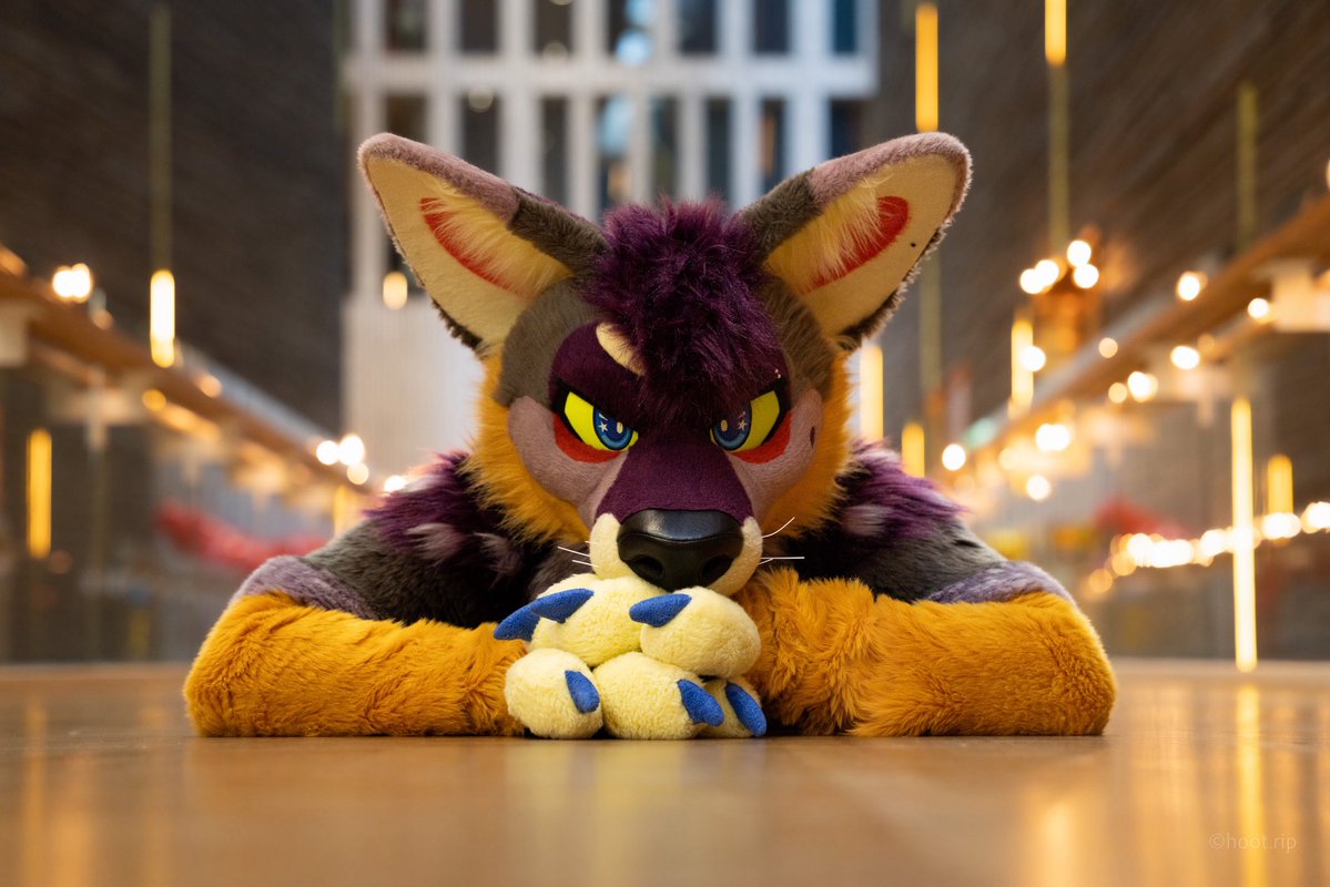 Antares 🔜 LVFC tweet media