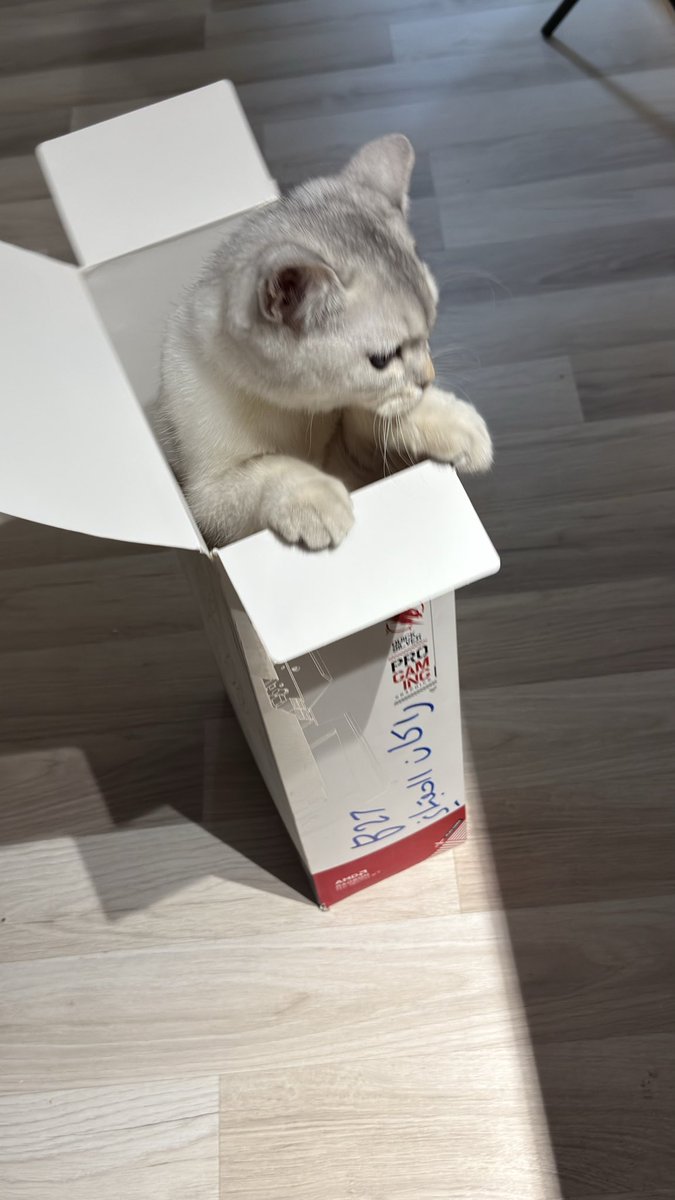 Rayan Qj tweet media