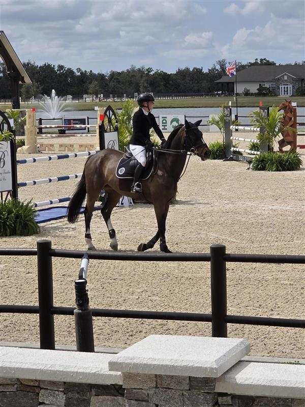 Kerkering Barberio tweet media