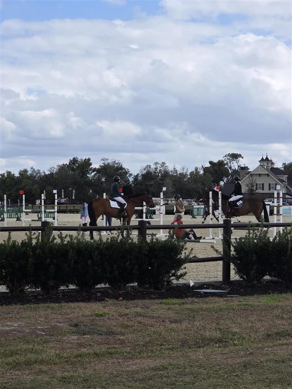 Kerkering Barberio tweet media