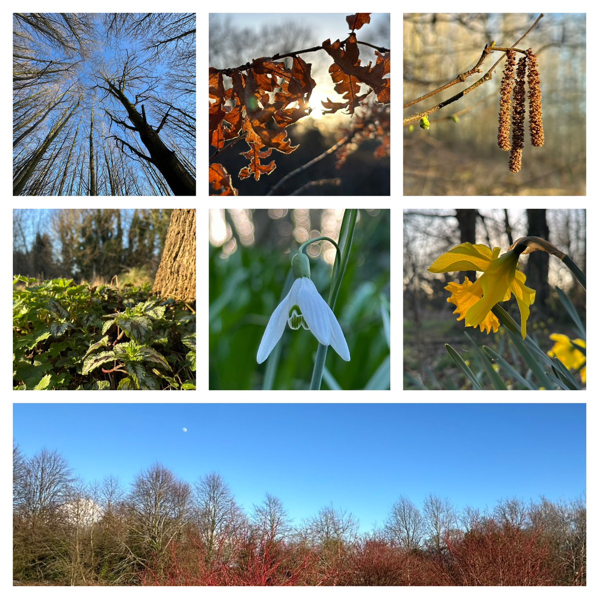 Jay Up North tweet media