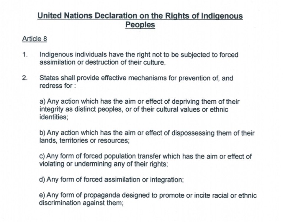 FrancisBoulle's tweet photo. Are any of these happening to indigenous British Islanders? https://t.co/PtqNNo4qiy